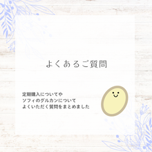 画像をギャラリービューアに読み込む, イムニィSF